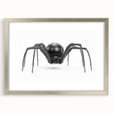 Framed wall art collection featuring intricate insect and arachnid spider designs in silver matting, ideal for nature enthusiasts and modern decor.