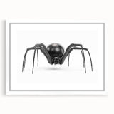 Framed wall art collection showcasing a striking insect and arachnid spider design, featuring a white mat and sleek frame, ideal for nature-themed decor.