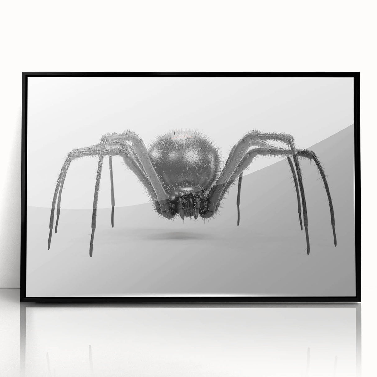 Framed wall art collection featuring intricate insect and arachnid spider designs, set in a sleek black frame, showcasing vibrant colors and detailed illustrations. Perfect for nature enthusiasts and modern decor.
