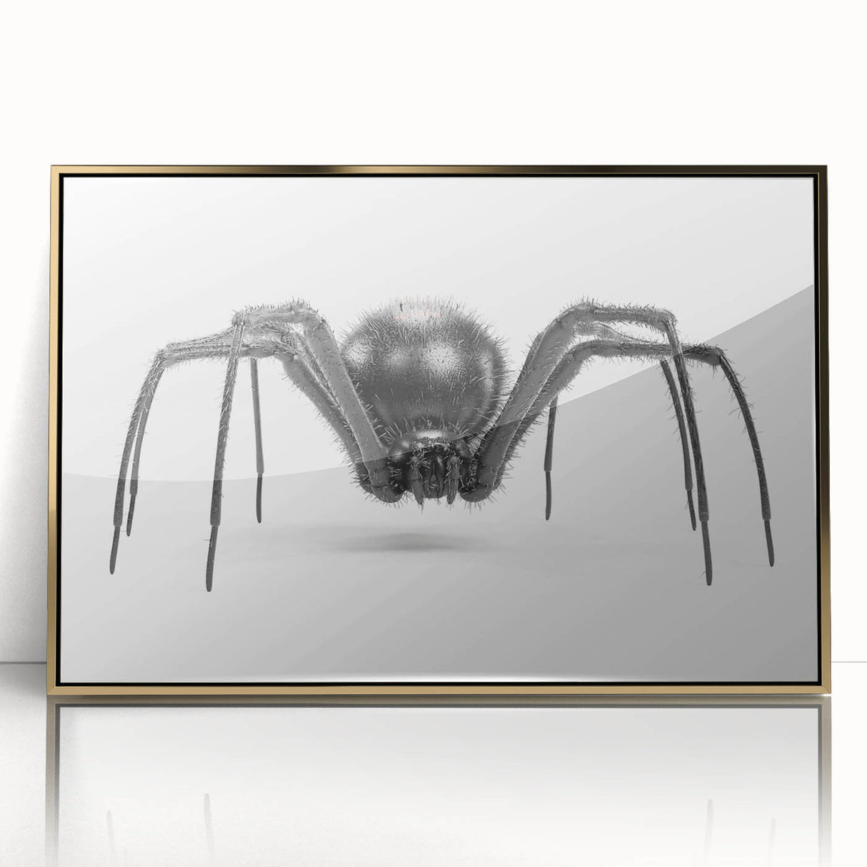 Framed wall art showcasing a detailed insect and arachnid spider design in gold acrylic, adding a touch of elegance to home decor. Perfect for nature enthusiasts.