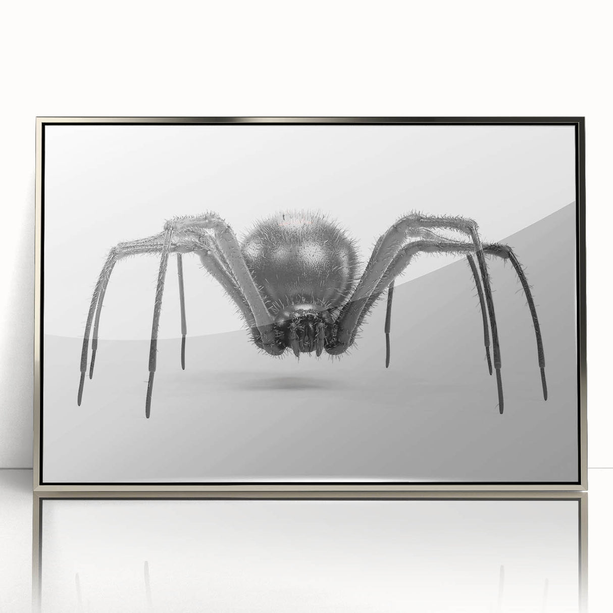 Framed wall art collection showcasing a detailed insect and arachnid spider design in silver acrylic, adding a modern touch to any decor. Perfect for nature lovers.
