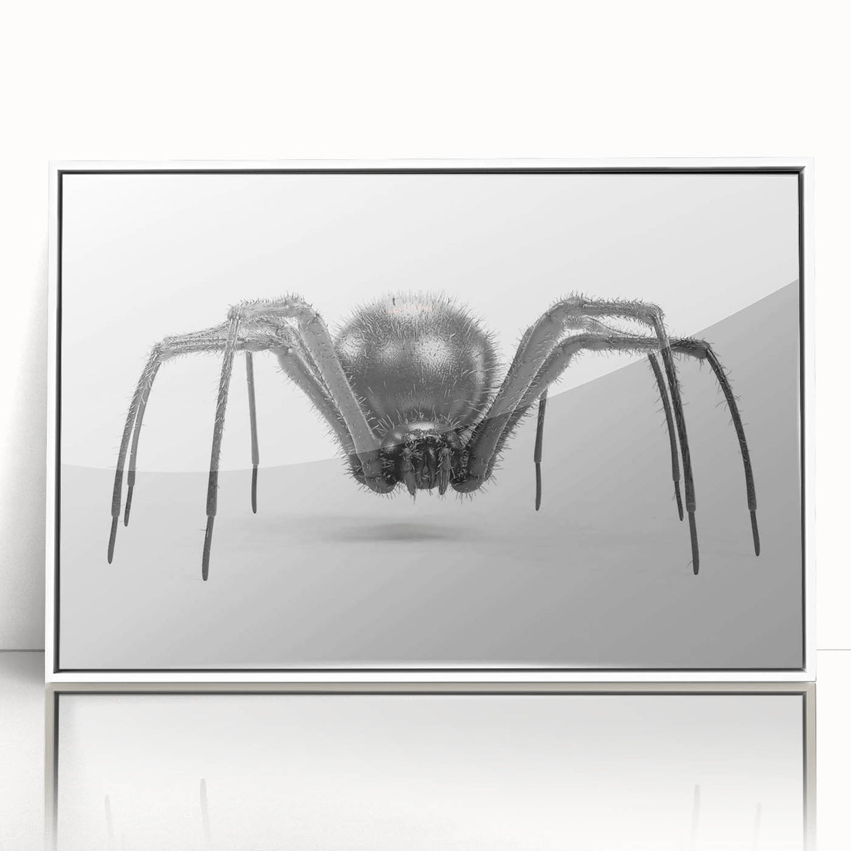 Framed wall art featuring a detailed insect and arachnid spider design, showcasing vibrant colors on a white background, perfect for nature enthusiasts and modern decor.