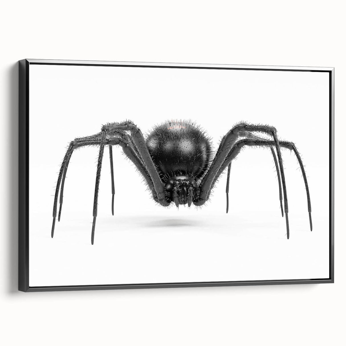 Framed canvas wall art showcasing a detailed insect and arachnid spider design with a sleek black frame, ideal for nature enthusiasts and modern decor.