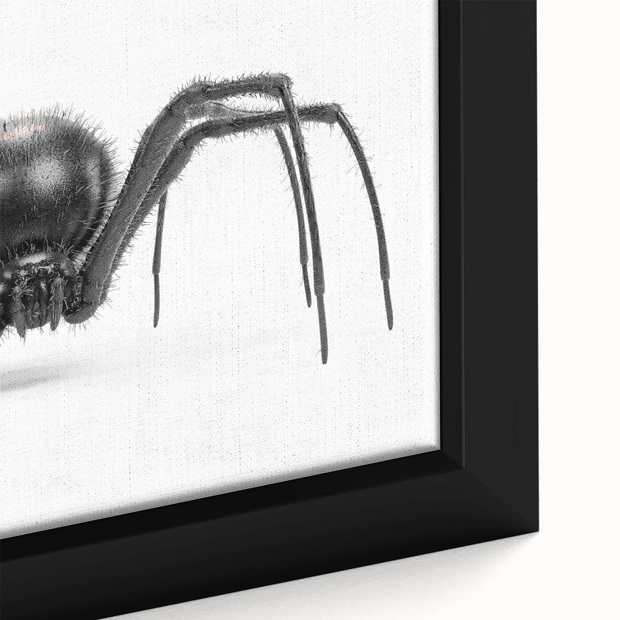 Close-up of a framed wall art piece showcasing a detailed insect and arachnid spider design, featuring vibrant colors and intricate patterns, perfect for nature enthusiasts.
