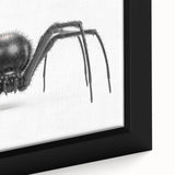 Close-up of a framed wall art piece showcasing a detailed insect and arachnid spider design, featuring vibrant colors and intricate patterns, perfect for nature enthusiasts.