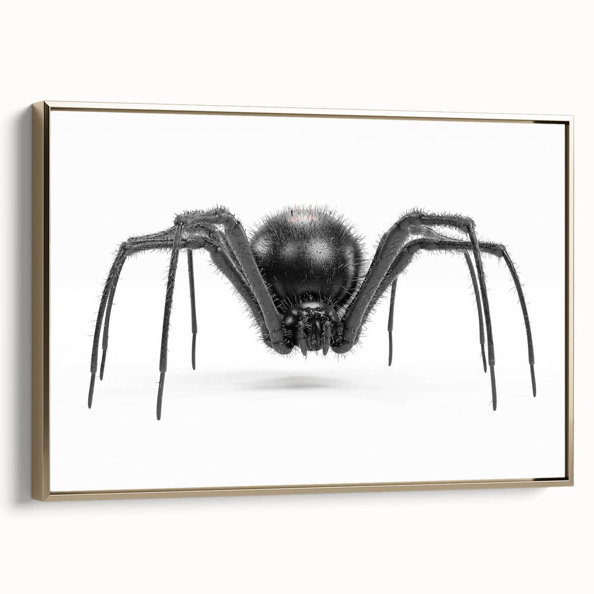 Framed wall art featuring a detailed insect and arachnid spider design in gold, showcasing intricate patterns and textures, perfect for nature enthusiasts.