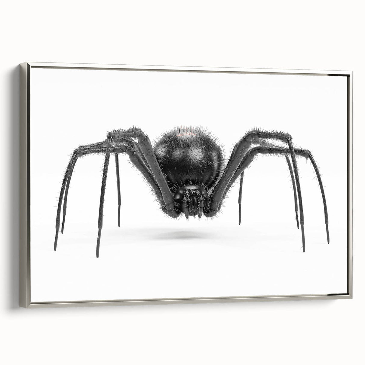 Framed wall art collection showcasing an intricate insect and arachnid spider design on a silver canvas, perfect for adding a unique touch to modern decor.