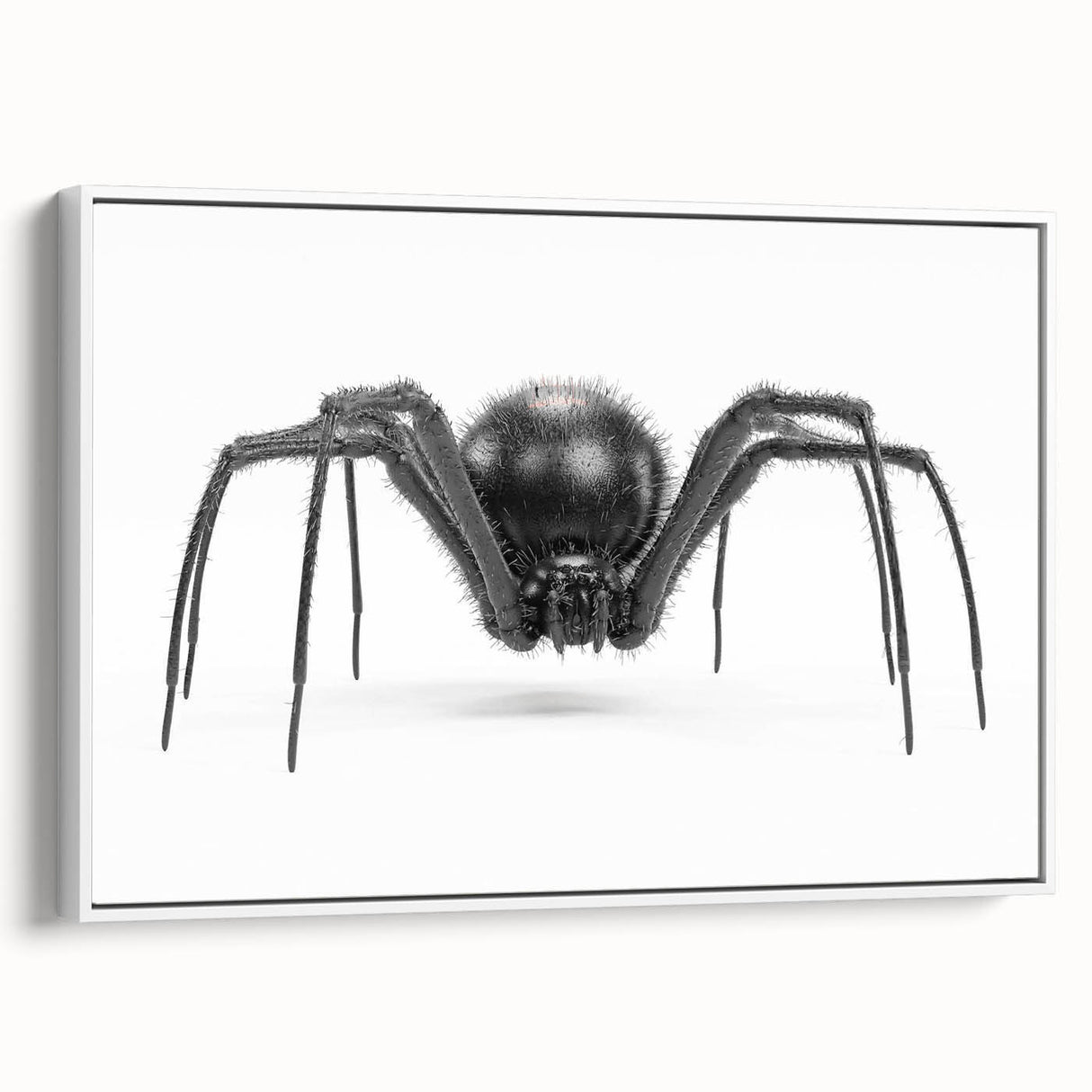 Framed wall art featuring a detailed insect and arachnid spider design on canvas, presented in a sleek white frame, perfect for nature enthusiasts and modern decor.