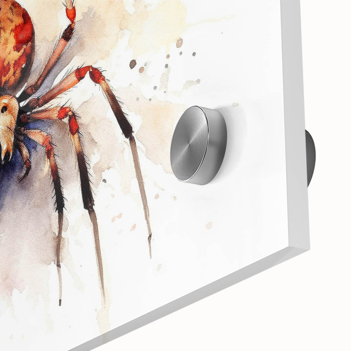 Close-up of a vibrant acrylic wall art piece showcasing intricate insect and arachnid designs, featuring detailed spider illustrations on a glass surface, ideal for nature enthusiasts.