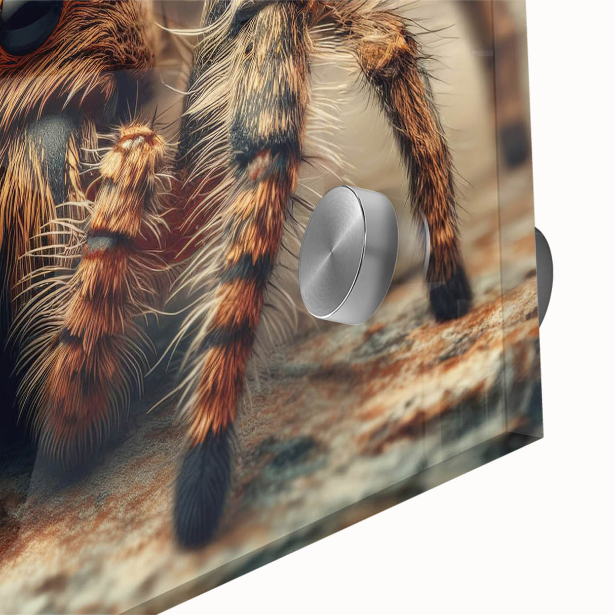 Close-up of a stunning acrylic wall art piece showcasing a detailed insect and arachnid spider design, perfect for nature lovers and modern decor enthusiasts. The vibrant colors and intricate patterns highlight the beauty of these creatures, making it an ideal addition to any contemporary art collection.