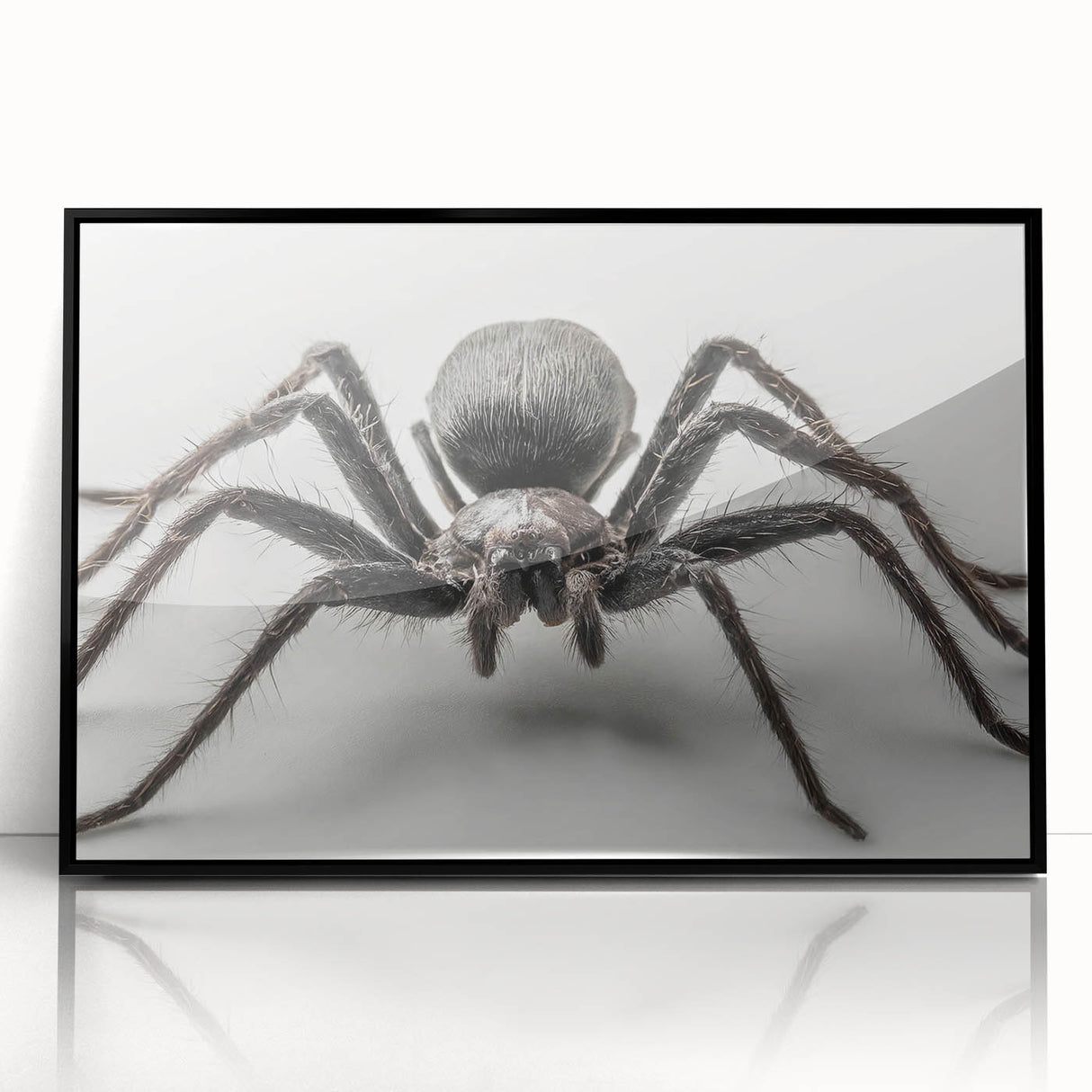 Framed wall art featuring a detailed design of various insects and arachnids, showcasing vibrant colors on a black background, perfect for nature enthusiasts and decor lovers.