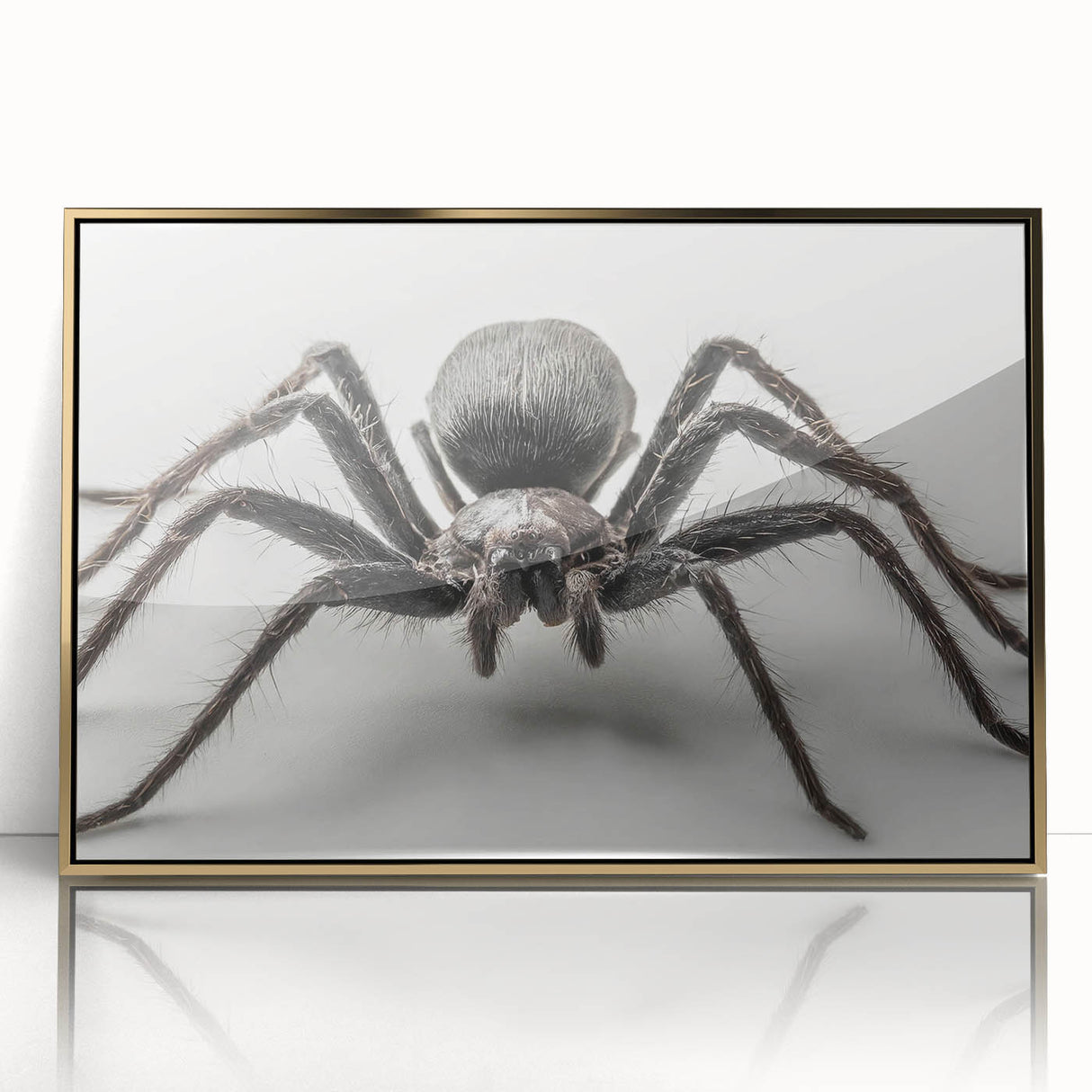 Framed wall art featuring a detailed insect and arachnid spider design, set in an elegant gold-acrylic frame, perfect for nature enthusiasts and modern decor.