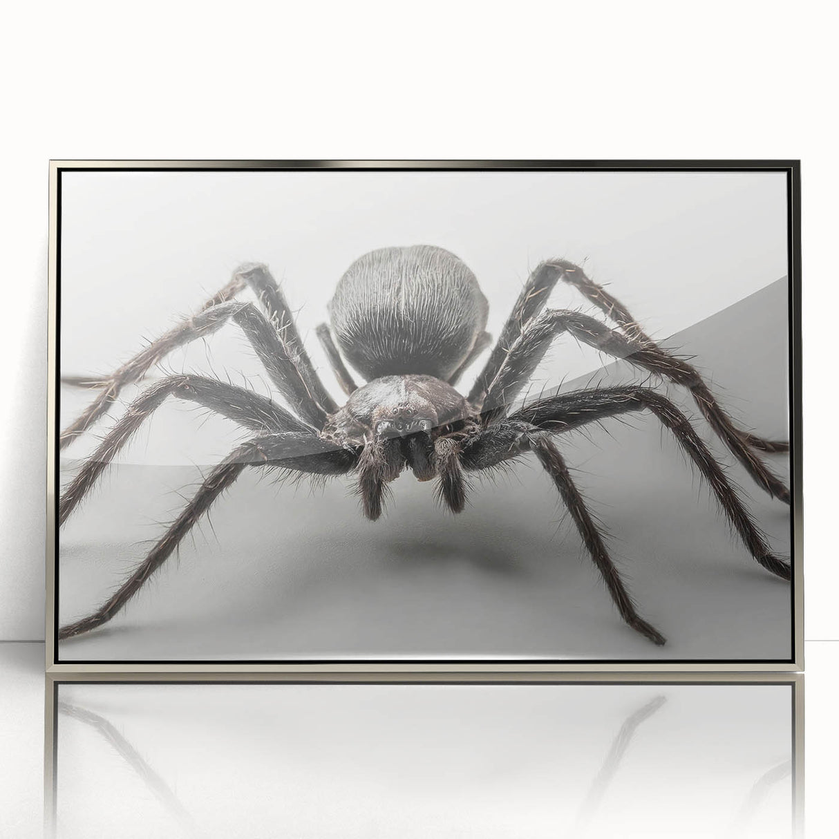 Framed wall art showcasing a detailed insect and arachnid spider design, featuring a sleek silver border and acrylic front, perfect for modern home decor.