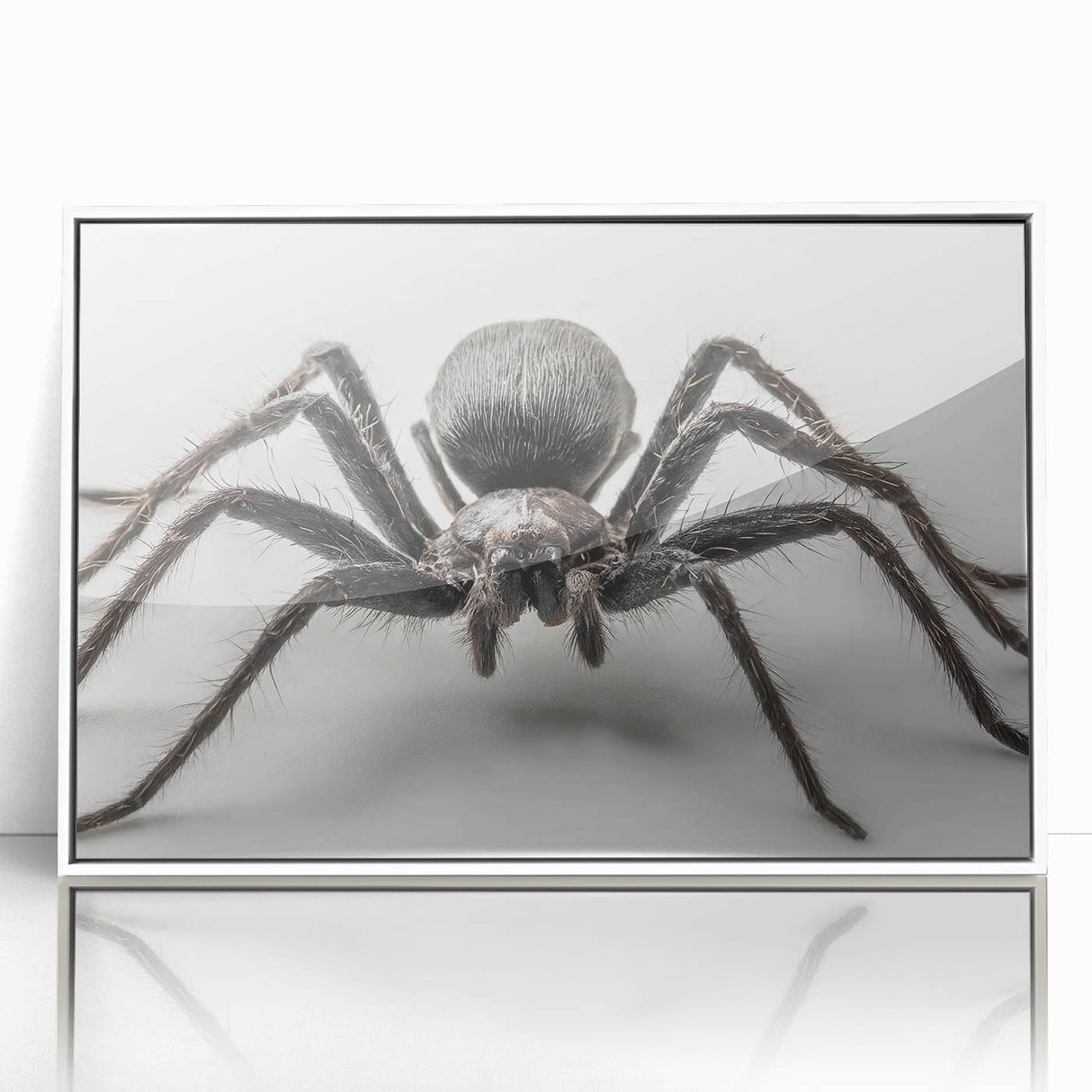 Framed wall art showcasing a detailed insect and arachnid spider design in a contemporary white frame, perfect for adding a unique touch to modern decor.