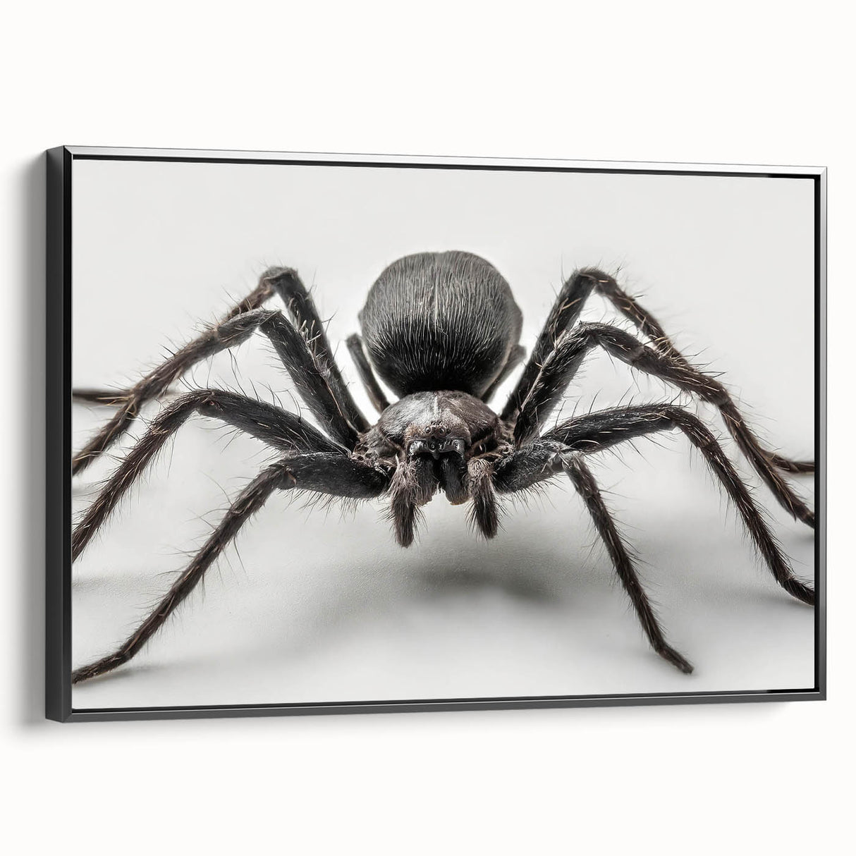 Framed wall art showcasing a detailed insect and arachnid spider design, featuring a sleek black frame and a side view perspective, ideal for nature enthusiasts and modern decor.