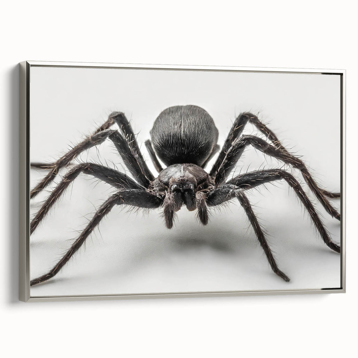 Framed wall art featuring an intricate insect and arachnid spider design on a textured canvas, accented with a sleek silver frame, ideal for nature enthusiasts.