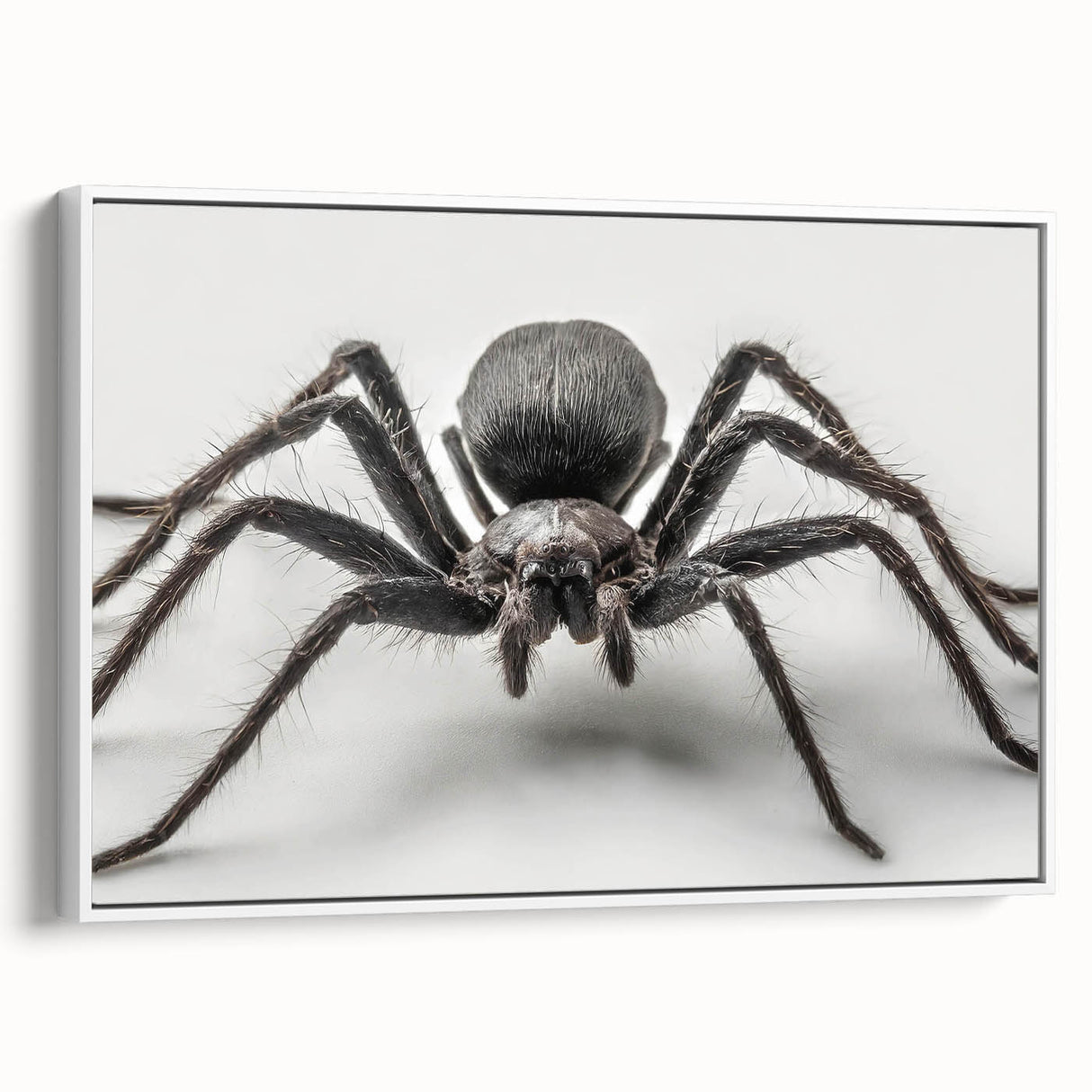 Framed wall art featuring a detailed insect and arachnid spider design on canvas, showcased in a white frame, perfect for nature enthusiasts and home decor.