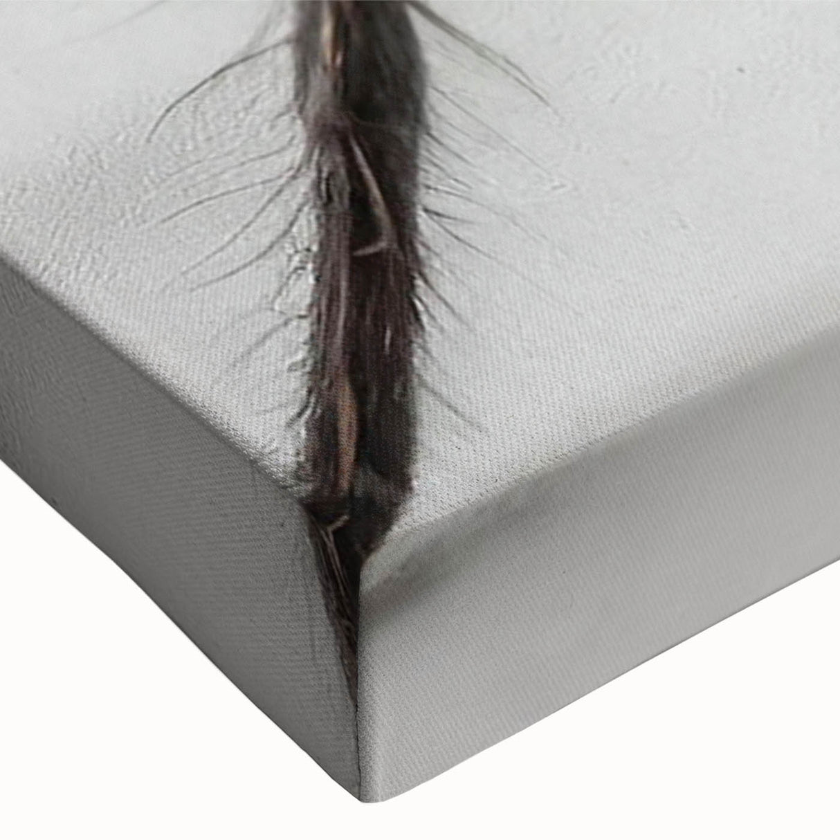 Close-up of a vibrant insect and arachnid-themed wall art design featuring detailed spider illustrations on stretched canvas, ideal for nature enthusiasts' decor.