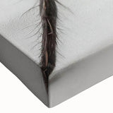 Close-up of a vibrant insect and arachnid-themed wall art design featuring detailed spider illustrations on stretched canvas, ideal for nature enthusiasts' decor.