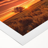 Rustic landscape wall art featuring a serene barn set against a vibrant sunset sky, printed on rolled canvas for easy display and storage, ideal for farmhouse decor.