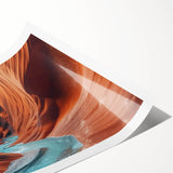 Vibrant rolled print showcasing a stunning canyon landscape design with rich colors, perfect for home decor or office space, packaged securely in a cardboard tube.