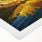 Vibrant rolled canvas artwork showcasing a stunning canyon landscape with rich colors and intricate details, ideal for home decor and art enthusiasts.