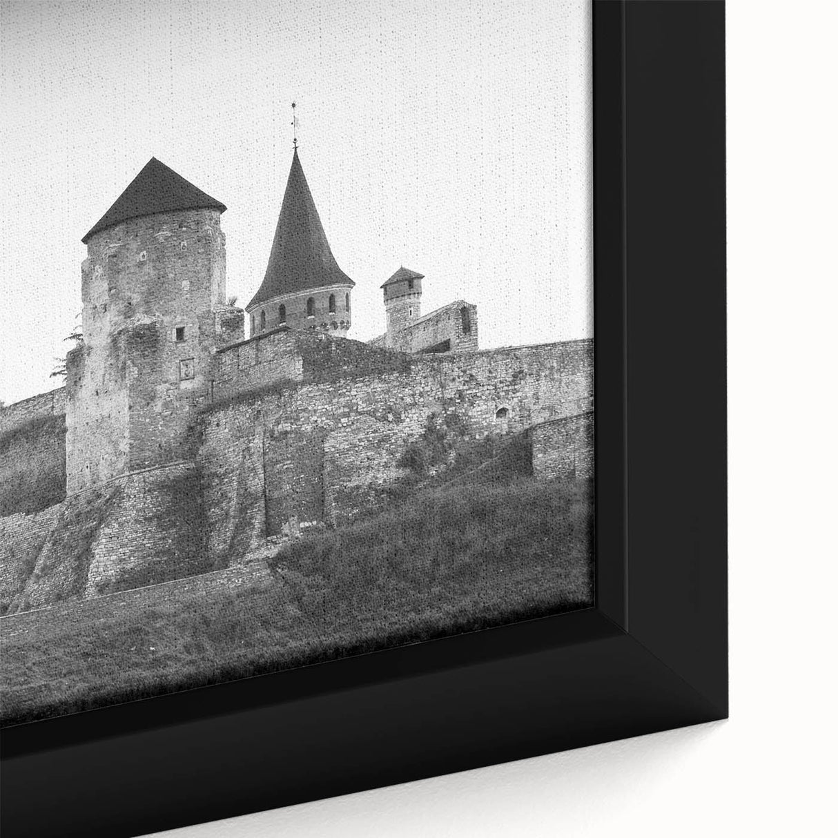 Framed canvas close-up of a stunning landscape featuring a majestic castle surrounded by lush greenery, ideal for home decor and art enthusiasts.