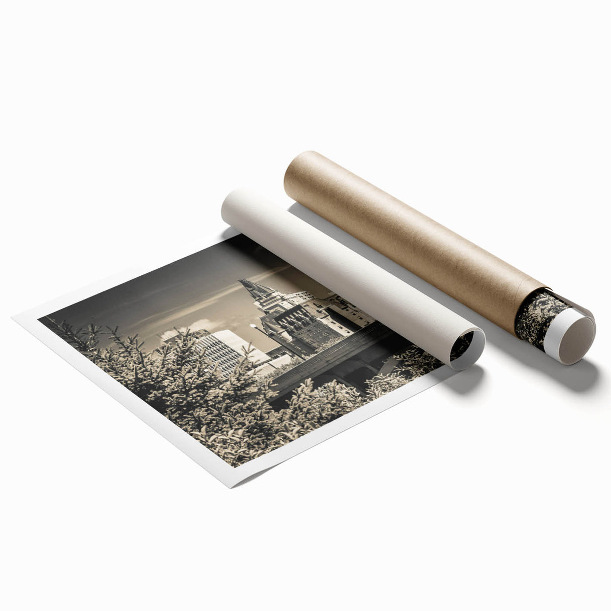 Stunning rolled print of a serene landscape featuring a majestic castle surrounded by lush greenery, ideal for home decor or art collections.