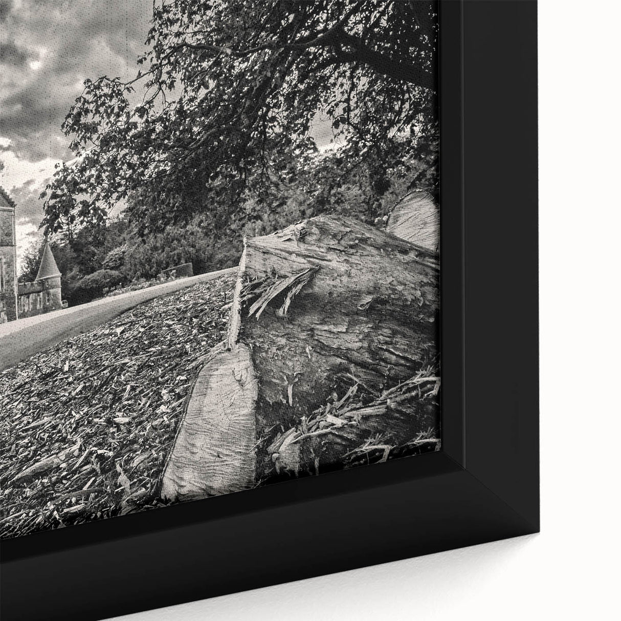 Framed canvas wall art showcasing a close-up of a vibrant landscape design featuring a picturesque castle, ideal for home decor and artistic expression.