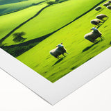 Scenic countryside wall art rolled canvas print showcasing vibrant green fields, a clear blue sky, and distant hills, ideal for home decor and nature enthusiasts.