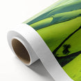 Rolled canvas artwork showcasing a serene countryside landscape design, featuring vibrant green fields and a tranquil sky, perfect for home decor.