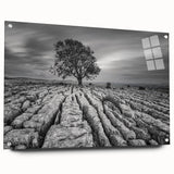 Acrylic glass wall art featuring a vibrant countryside landscape design, elegantly displayed from the side with visible mounting pins, perfect for home decor.