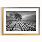 Framed wall art collection depicting a serene countryside landscape design, featuring a gold frame and mat, perfect for enhancing home decor and interior aesthetics.