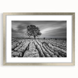 Framed wall art featuring a serene countryside landscape design with a silver mat, ideal for enhancing home decor in living rooms or offices.