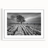Framed wall art collection featuring serene countryside landscapes in soft pastel colors, elegantly matted and presented in a sleek white frame, ideal for home decor.