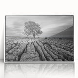 Framed acrylic wall art showcasing a tranquil countryside landscape in soft pastel colors, emphasizing serene nature vibes and rustic charm, perfect for home decor.