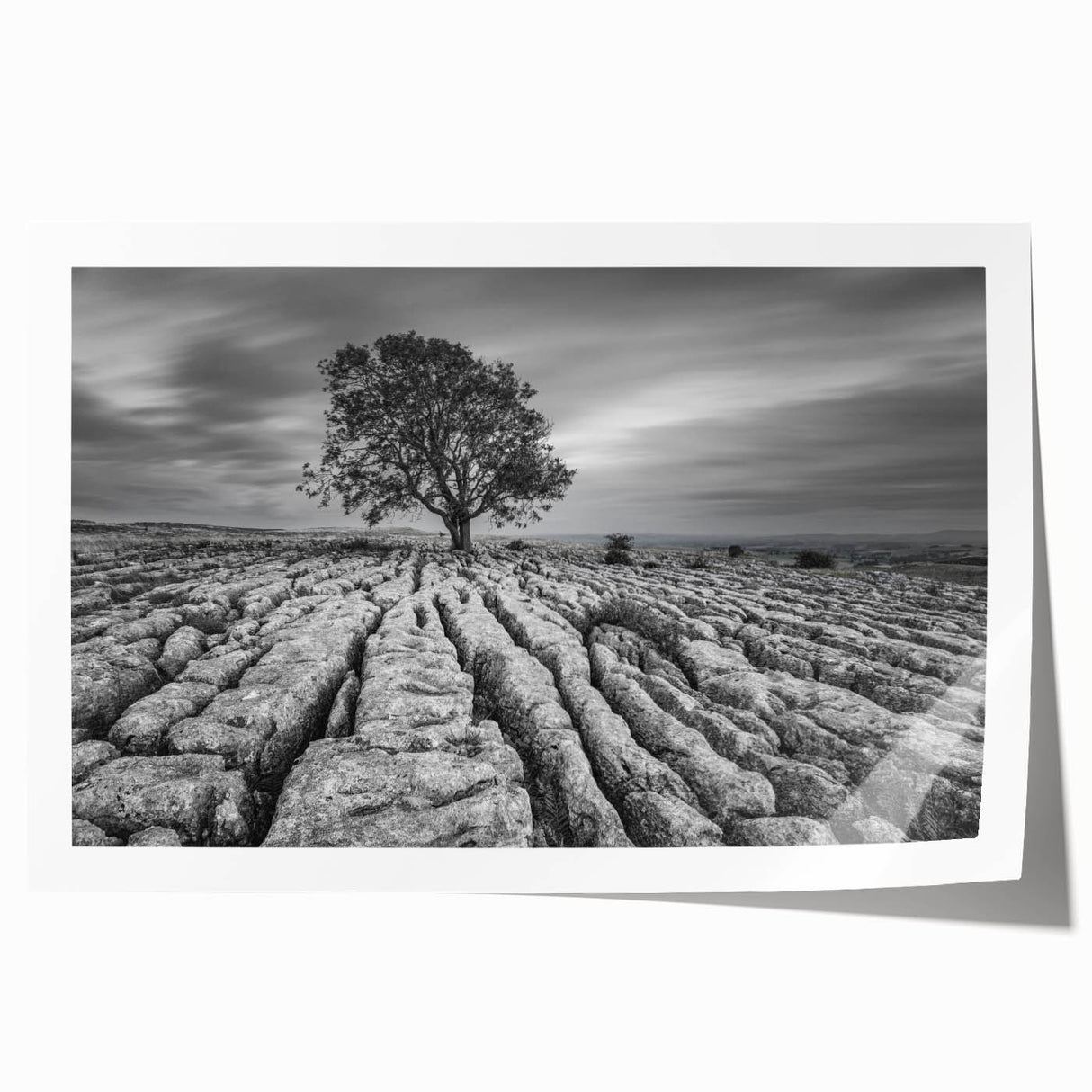 Rolled print showcasing a serene countryside landscape with rolling hills and vibrant green fields, perfect for home decor. Packaged securely in a cardboard tube for safe delivery.