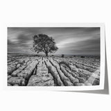 Rolled print showcasing a serene countryside landscape with rolling hills and vibrant green fields, perfect for home decor. Packaged securely in a cardboard tube for safe delivery.