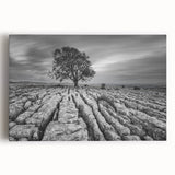 Stretched canvas wall art showcasing a serene countryside landscape with vibrant greenery and rolling hills, perfect for enhancing home decor and creating a calming atmosphere.