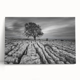 Stretched canvas wall art featuring a serene countryside landscape design, showcasing rolling hills and a vibrant sunset, perfect for home décor and adding warmth to any space.