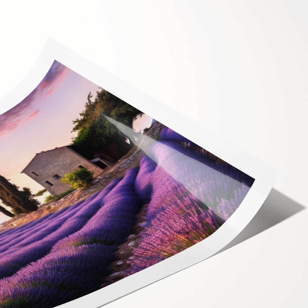 Country-side landscape wall art collection print showcasing vibrant greens and earthy tones, rolled and ready for framing, perfect for home decor.