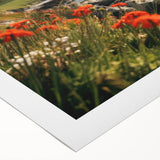 Vibrant rolled canvas wall art showcasing a serene countryside landscape with lush greenery and a tranquil blue sky, elegantly packaged for easy display.