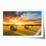 Rolled print of a serene countryside landscape featuring vibrant green fields, a clear blue sky, and golden sunlight, designed for wall art enthusiasts. Perfect for home decor.