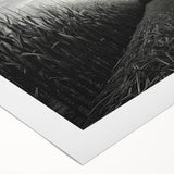 Vibrant rolled canvas showcasing a serene countryside landscape design, featuring lush green fields and a clear blue sky, perfect for home decor.