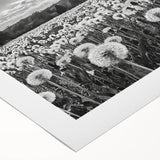 Rolled canvas artwork showcasing a serene countryside landscape design with rolling hills, vibrant greenery, and a tranquil sky, ideal for home decor.
