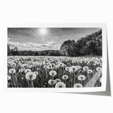 Beautiful rolled print of a serene countryside landscape featuring lush green fields and a vibrant sunset, ideal for home decor or art collection.