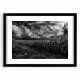 Framed wall art collection showcasing a serene countryside landscape design, featuring a black frame and mat for an elegant presentation, perfect for home decor.