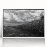 Framed acrylic wall art showcasing a serene countryside landscape with vibrant colors, ideal for home decor and enhancing interior spaces.