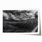 Rolled print of a serene countryside landscape featuring rolling green hills and a clear blue sky, designed for wall art collection, showcasing vibrant colors and tranquil scenery.