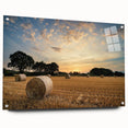 Acrylic glass wall art showcasing a serene countryside landscape with vibrant green fields and a clear blue sky, elegantly mounted with pins for display.